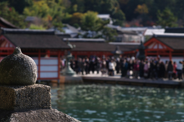 tak1011_miyajima02.jpg